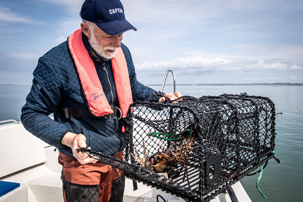 Sejltur - Fang krabber i fjorden - Krabbefestival Lemvig