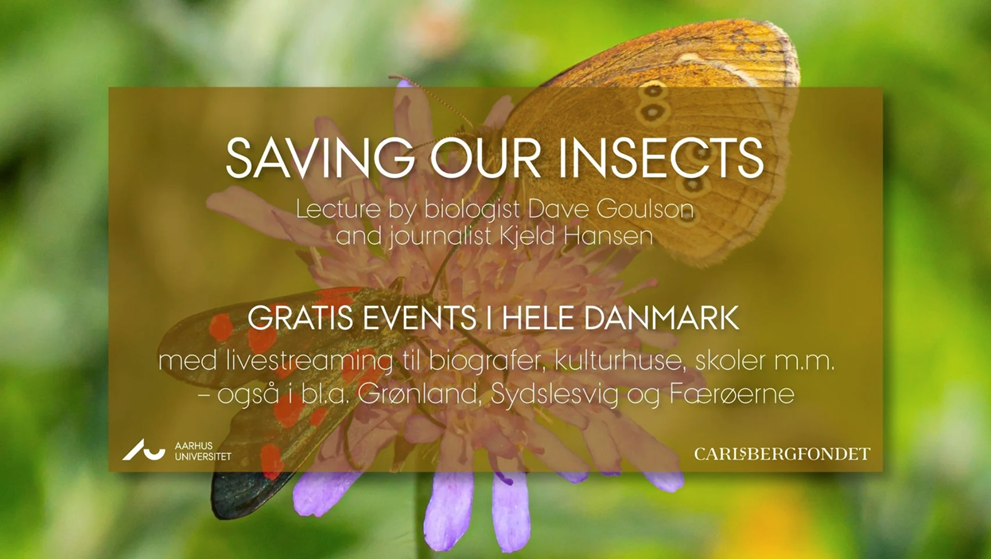Foredrag fra Århus Universitet: saving our insects - Live Stream fra Thyborøn
