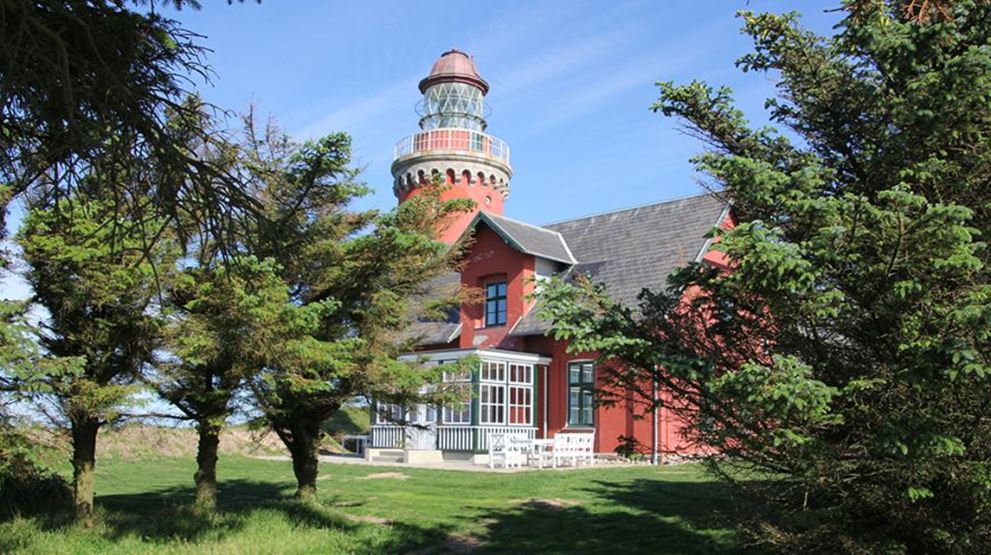 Morgenyoga i Fyrhaven på Bovbjerg Fyr