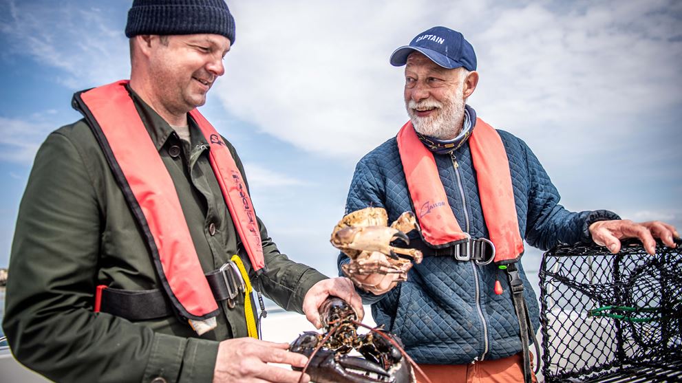 Fra fjord til bord - Jyllandsakvariet - uge 27