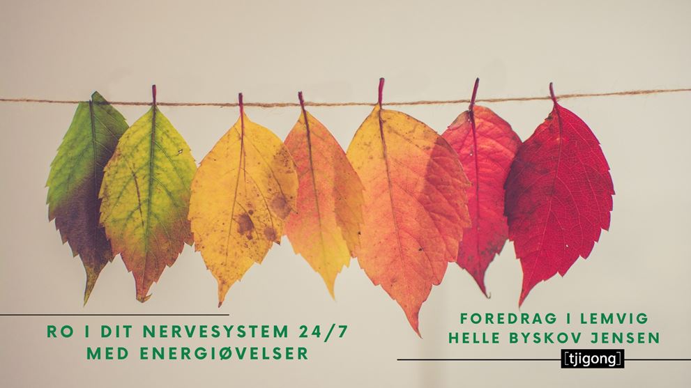 Foredrag - Ro i dit nervesystem - Tjigong