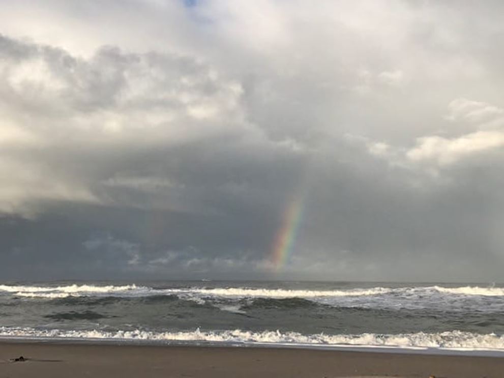 Naturmeditation ved havet v/ Liv Brøgger