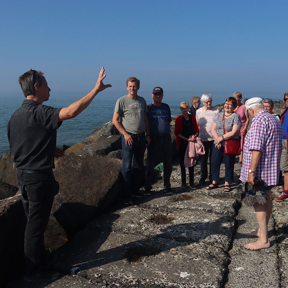 Aftenvandring ved Høfde 42
