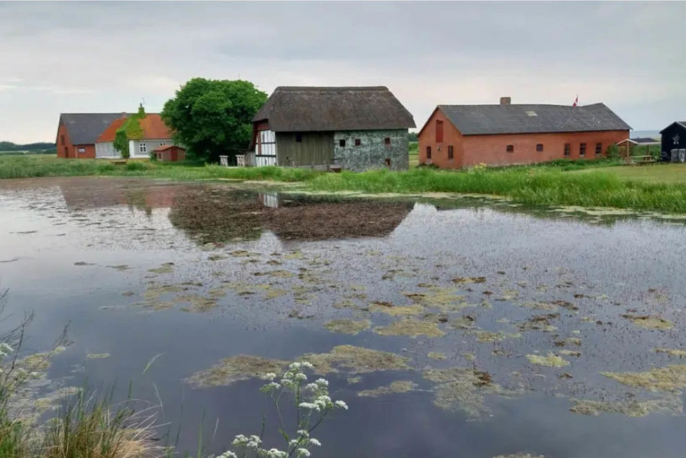 Tre flotte natursteder i Toftum Bjerge