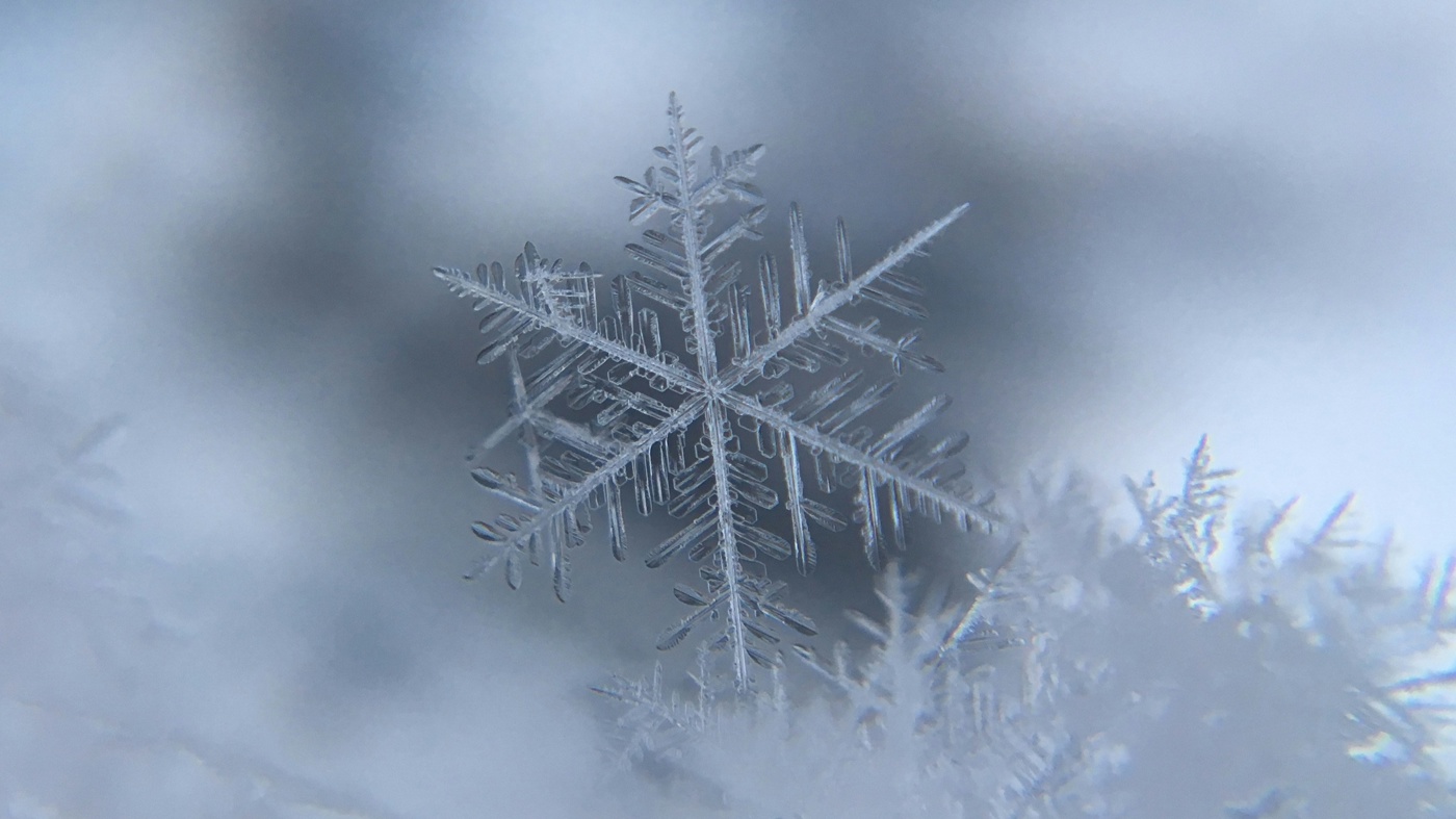 Vidunderlig Vinterferie