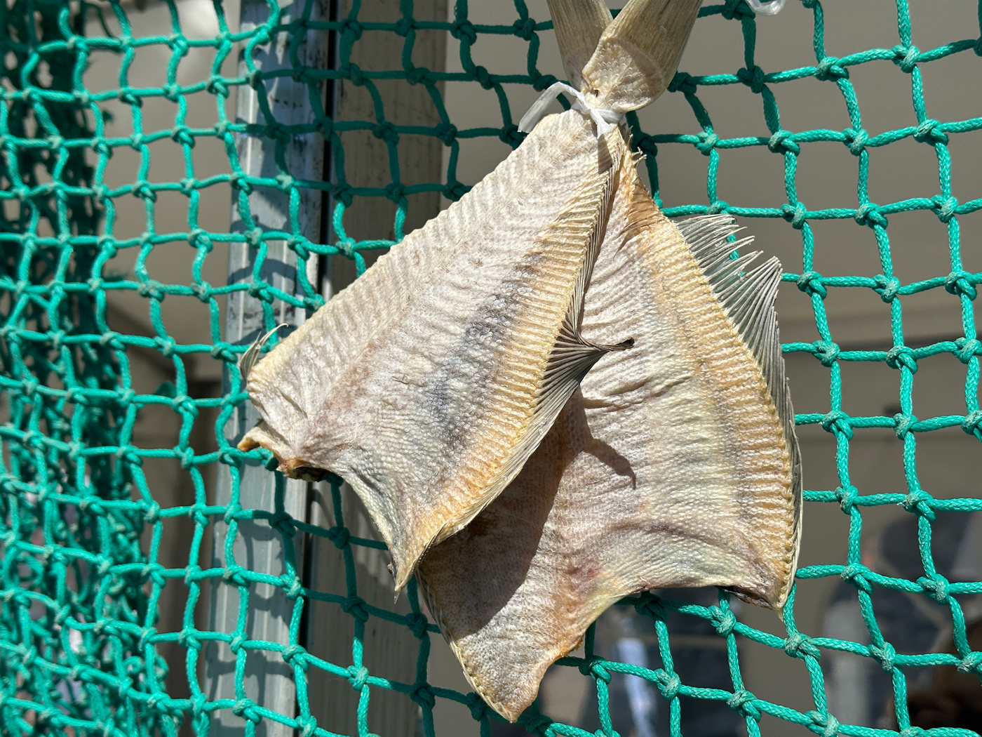 Salt Å Thyborønsk - en saltet fødevarefestival