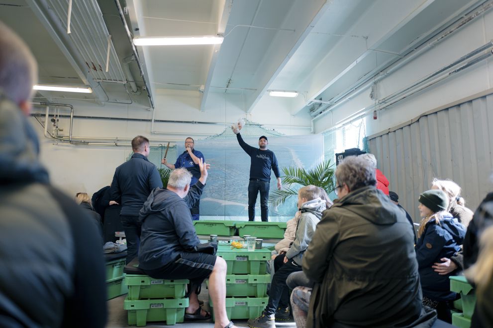 Fiskeauktion i Thyborøn