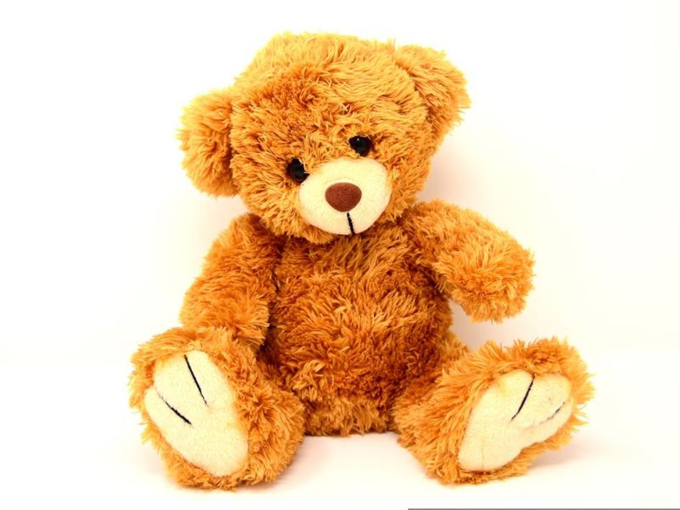 Bamse på skattejagt