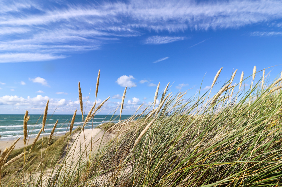 Gløgg tur i Fjaltring