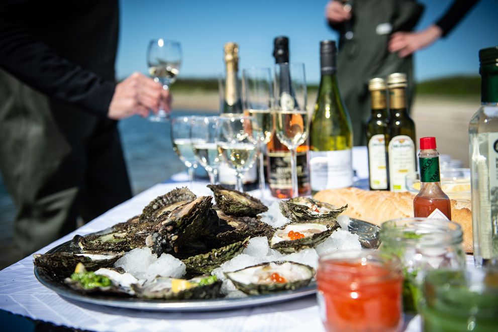Østerssafari i Limfjorden i påsken