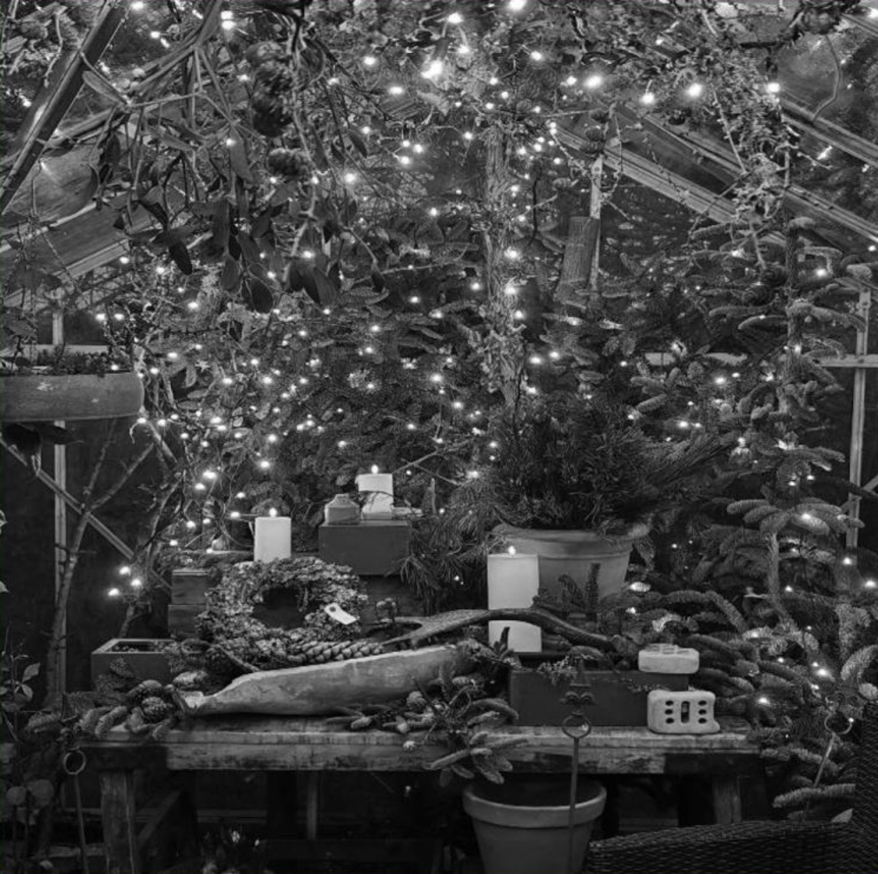 Stjerneaften hos LoPe