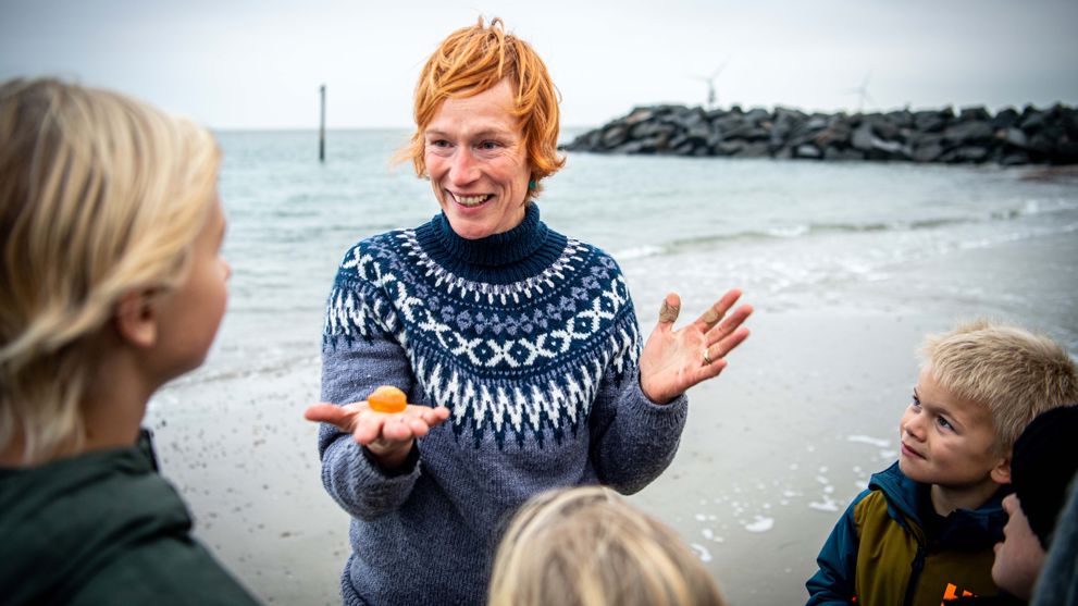 Ravsafari hos Jyllandsakvariet i Thyborøn