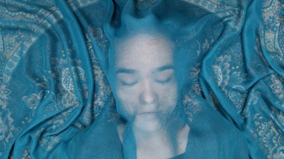 Lemvig:DOX - A Fox under a Pink Moon