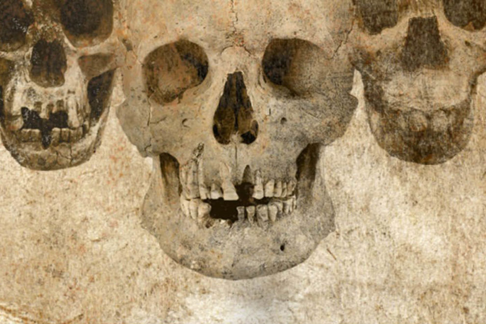 DNA og Fossiler udvider vores stamtræ
